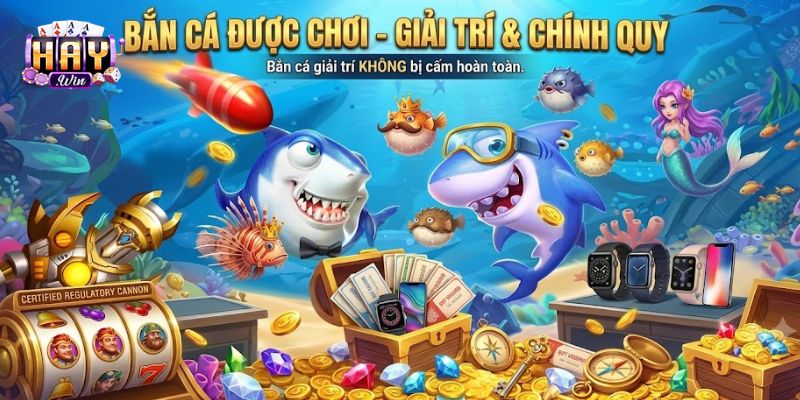 Haywin lý do cho anh em bắn cá có bị cấm không