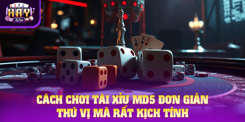 Cách chơi Tài Xỉu MD5 đơn giản, thú vị mà rất kịch tính